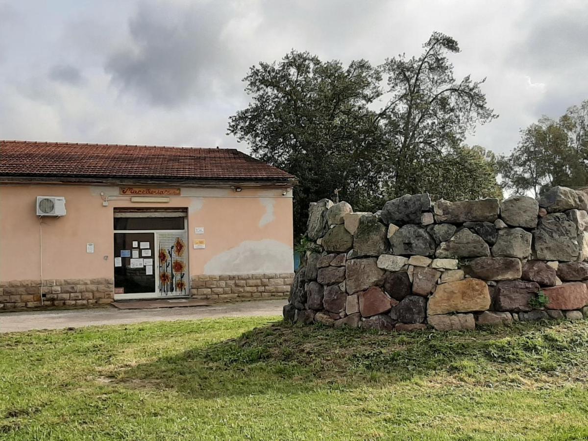Agriturismo Agrifoglio 圣乔瓦尼-苏埃尔朱 外观 照片