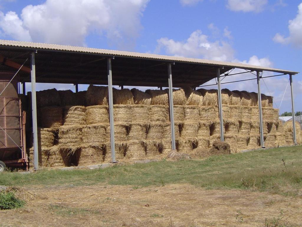 Agriturismo Agrifoglio 圣乔瓦尼-苏埃尔朱 外观 照片